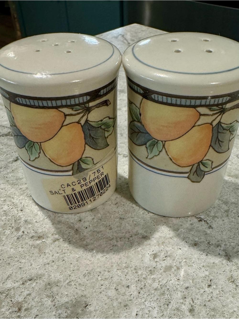 Mikasa Intaglio Garden Harvest Salt & Pepper Set CAC29/751 Stoneware NEW
